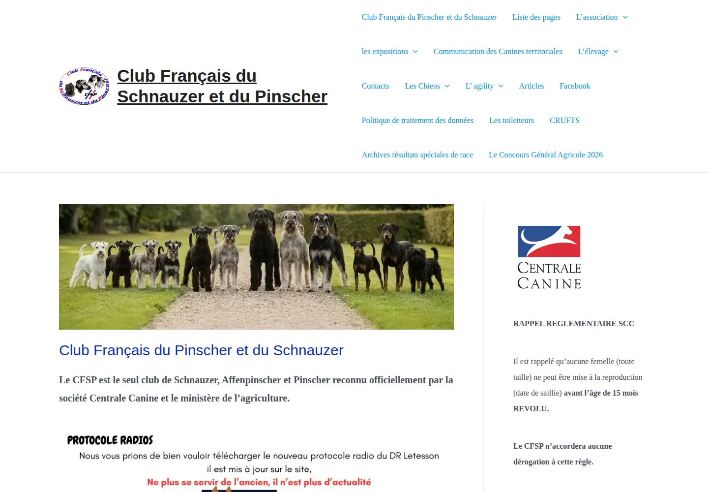 Captured homepage of cfsp.ovh in the current scan