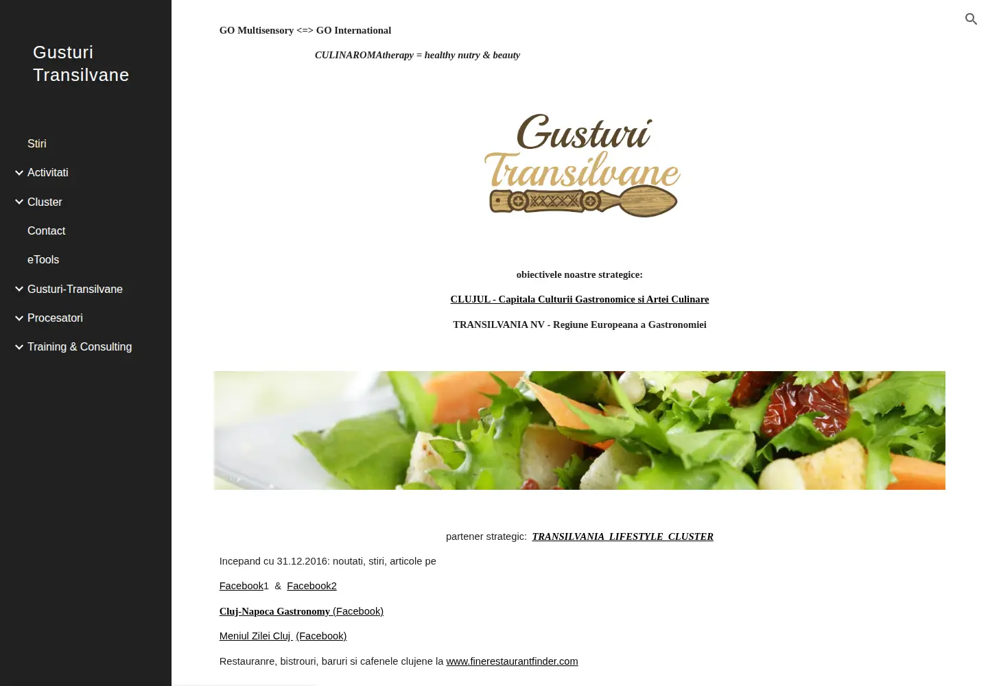 Captured homepage of gusturi-transilvane.ro in the current scan