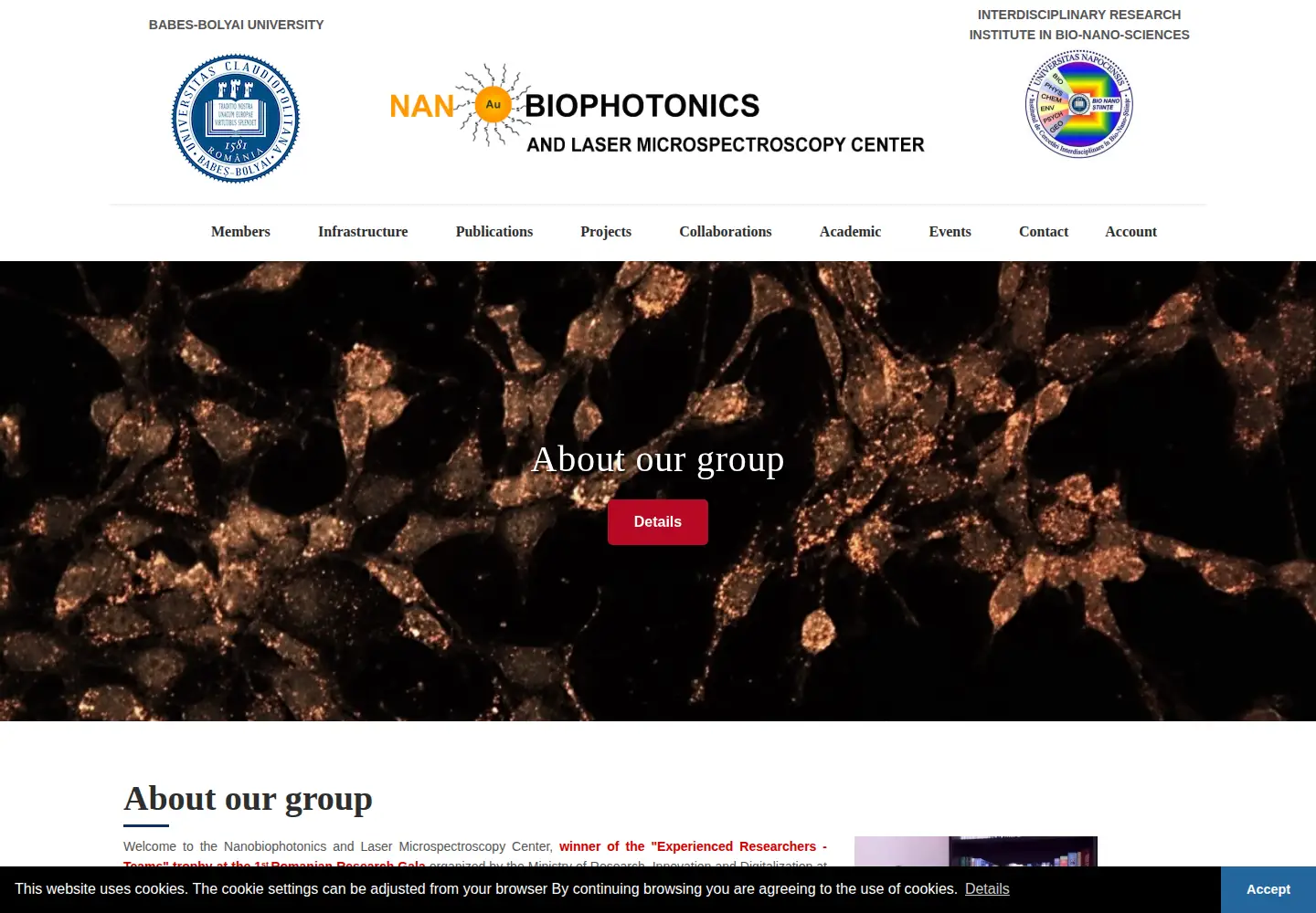 Screenshot of nanobiophotonics.ro