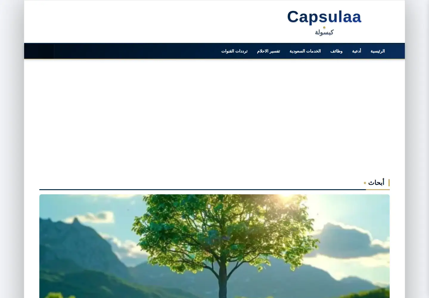 Screenshot of capsula.sa