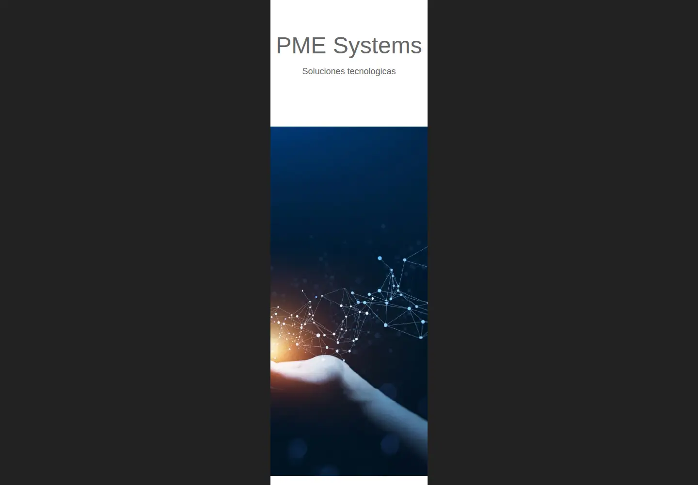 Captured homepage of pme.systems in the current scan