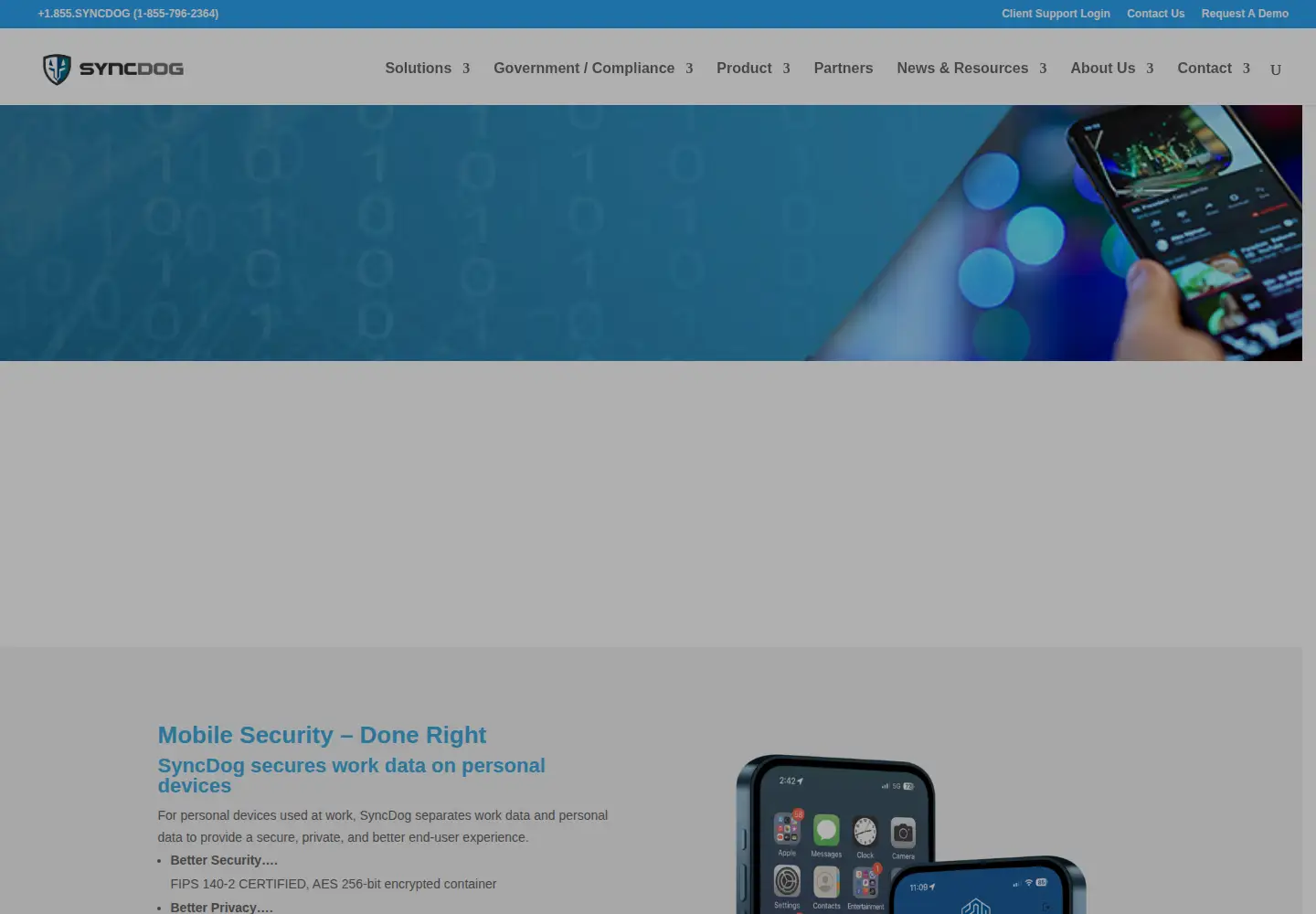 Captured homepage of secure.systems in the current scan