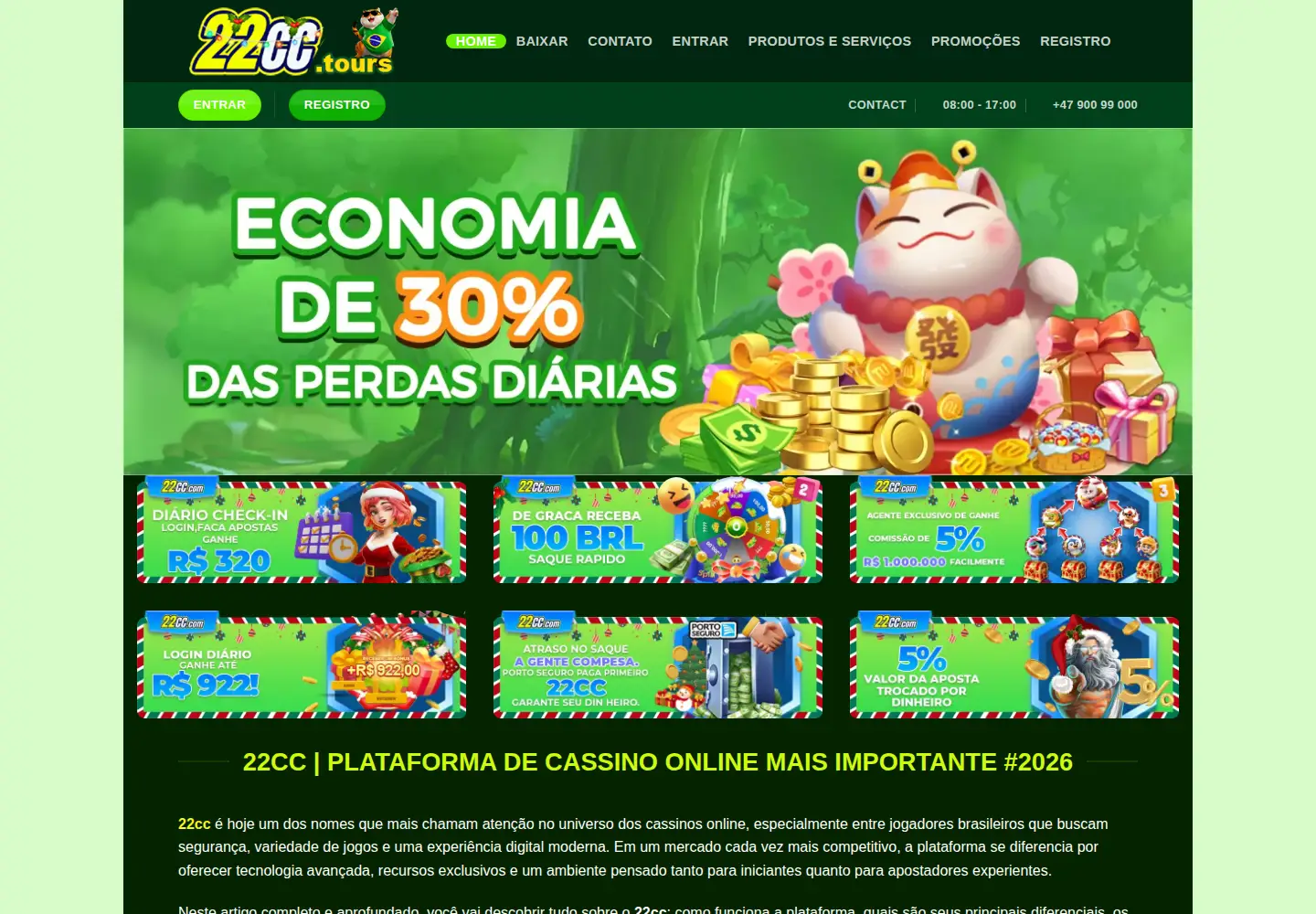 Screenshot of 22cc.tours