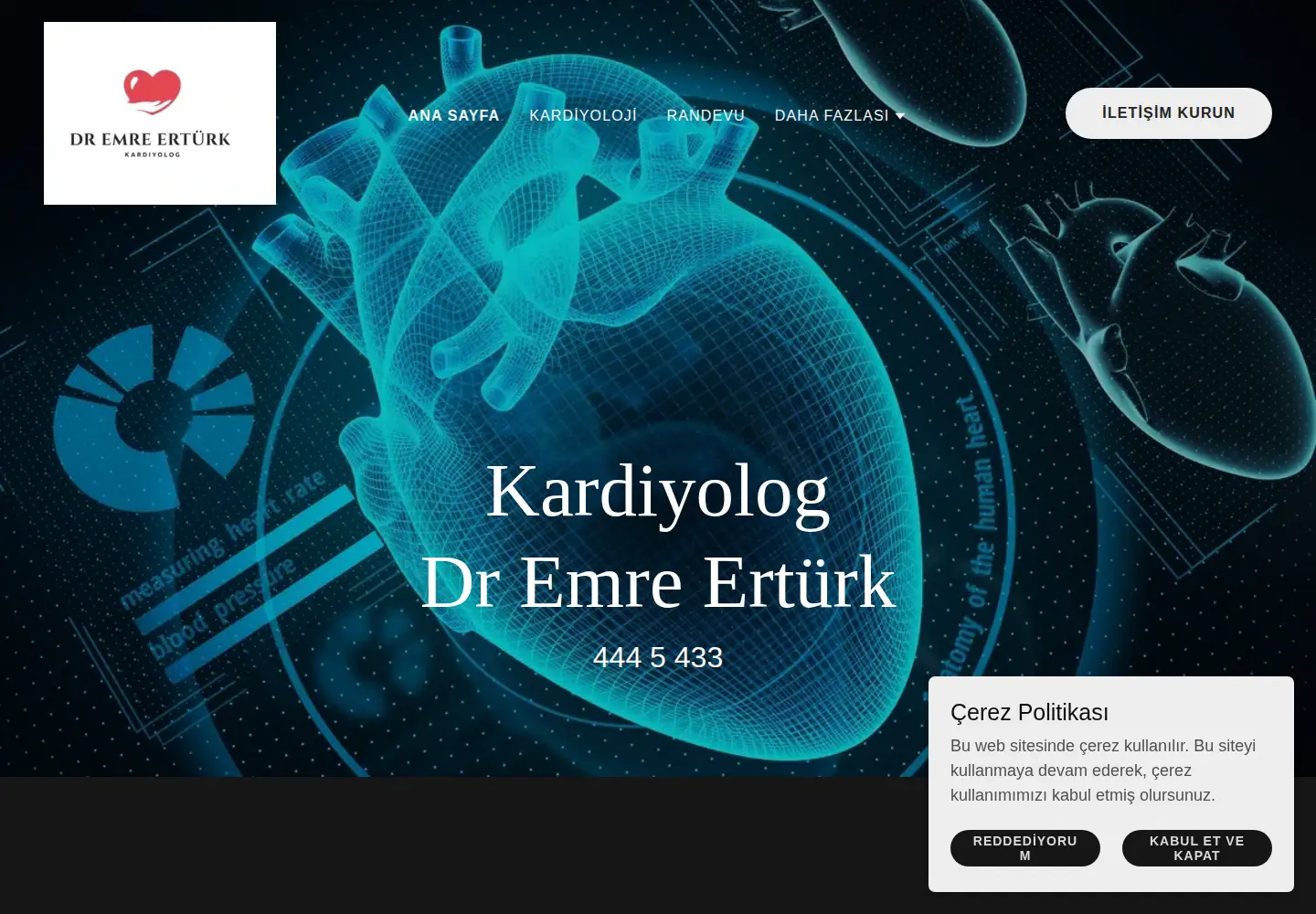 Captured homepage of emreerturk.com.tr in the current scan