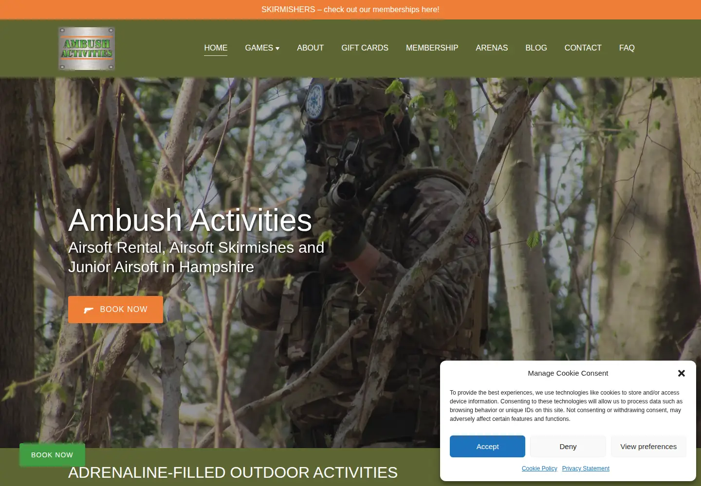 Screenshot of ambushactivities.co.uk