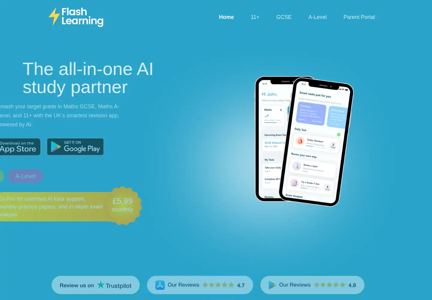 Captured homepage of flashlearning.co.uk in the current scan