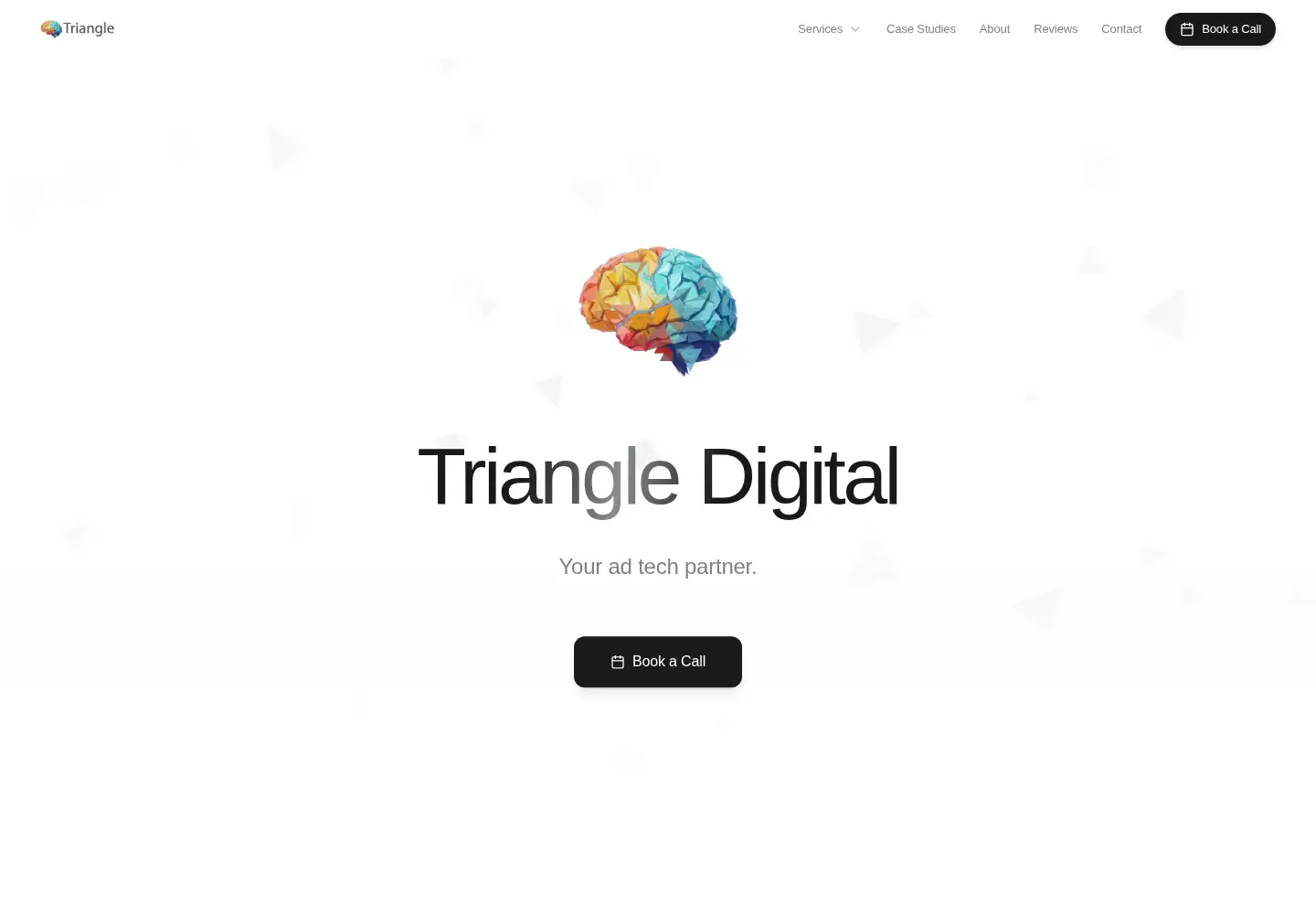 Captured homepage of triangledigital.xyz in the current scan