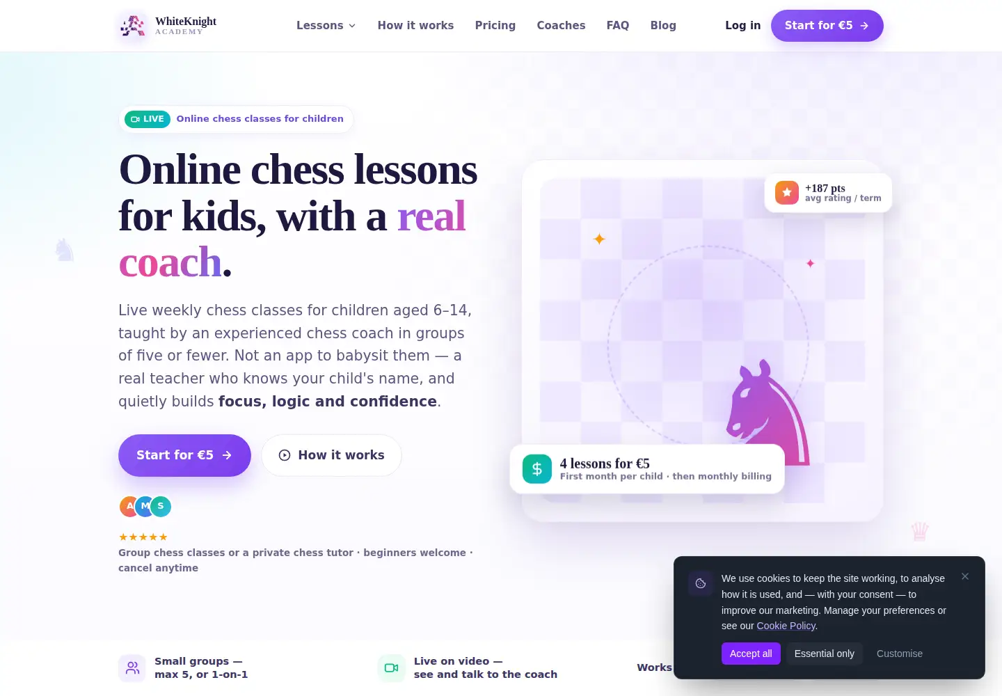 Captured homepage of whiteknight.academy in the current scan