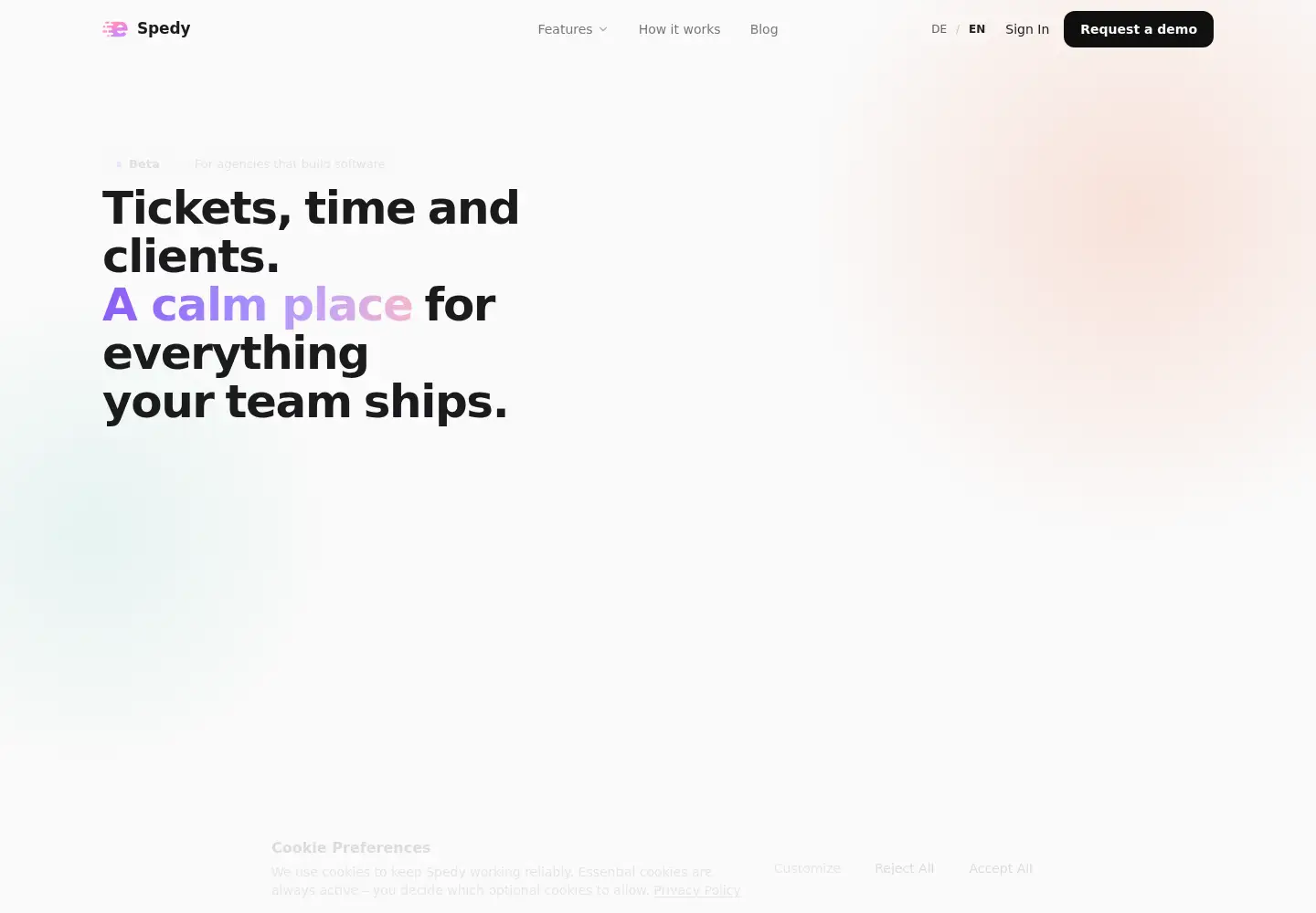 Captured homepage of spedy.ai in the current scan