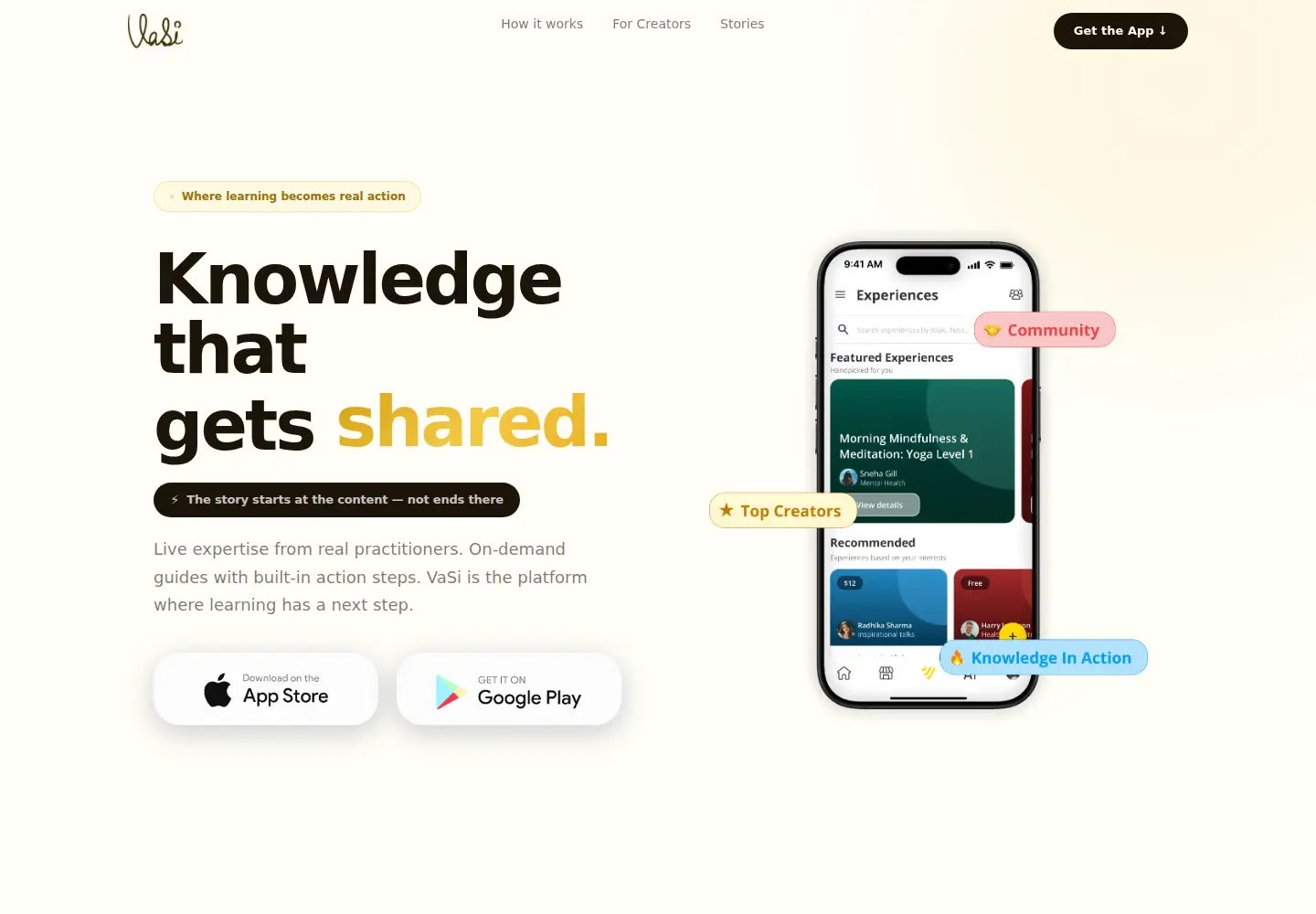 Captured homepage of vasi.ai in the current scan
