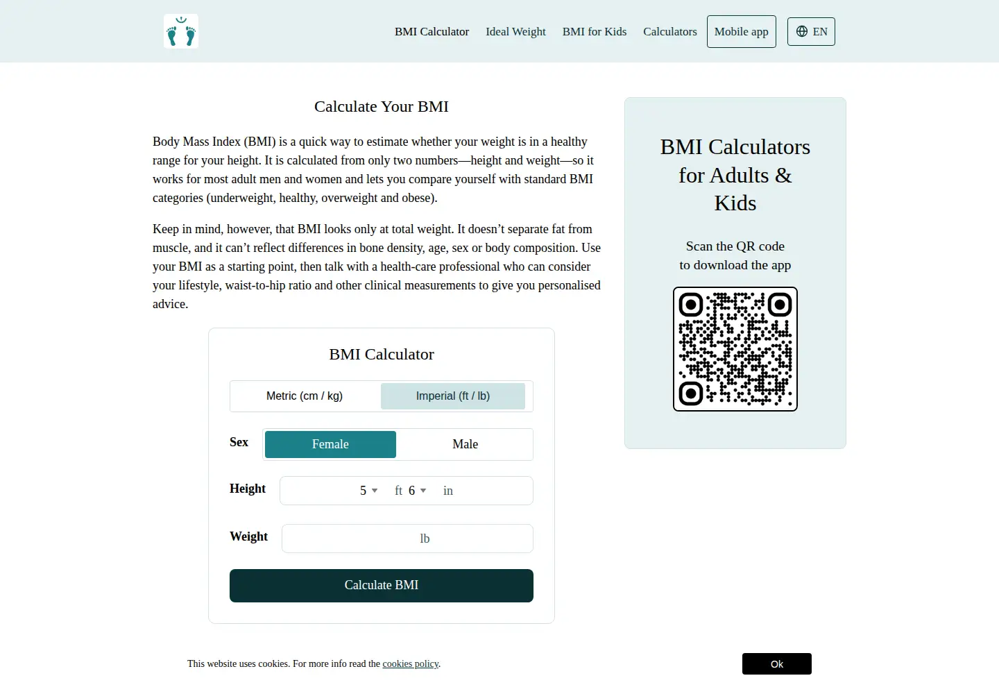 Screenshot of bodymassindex.app