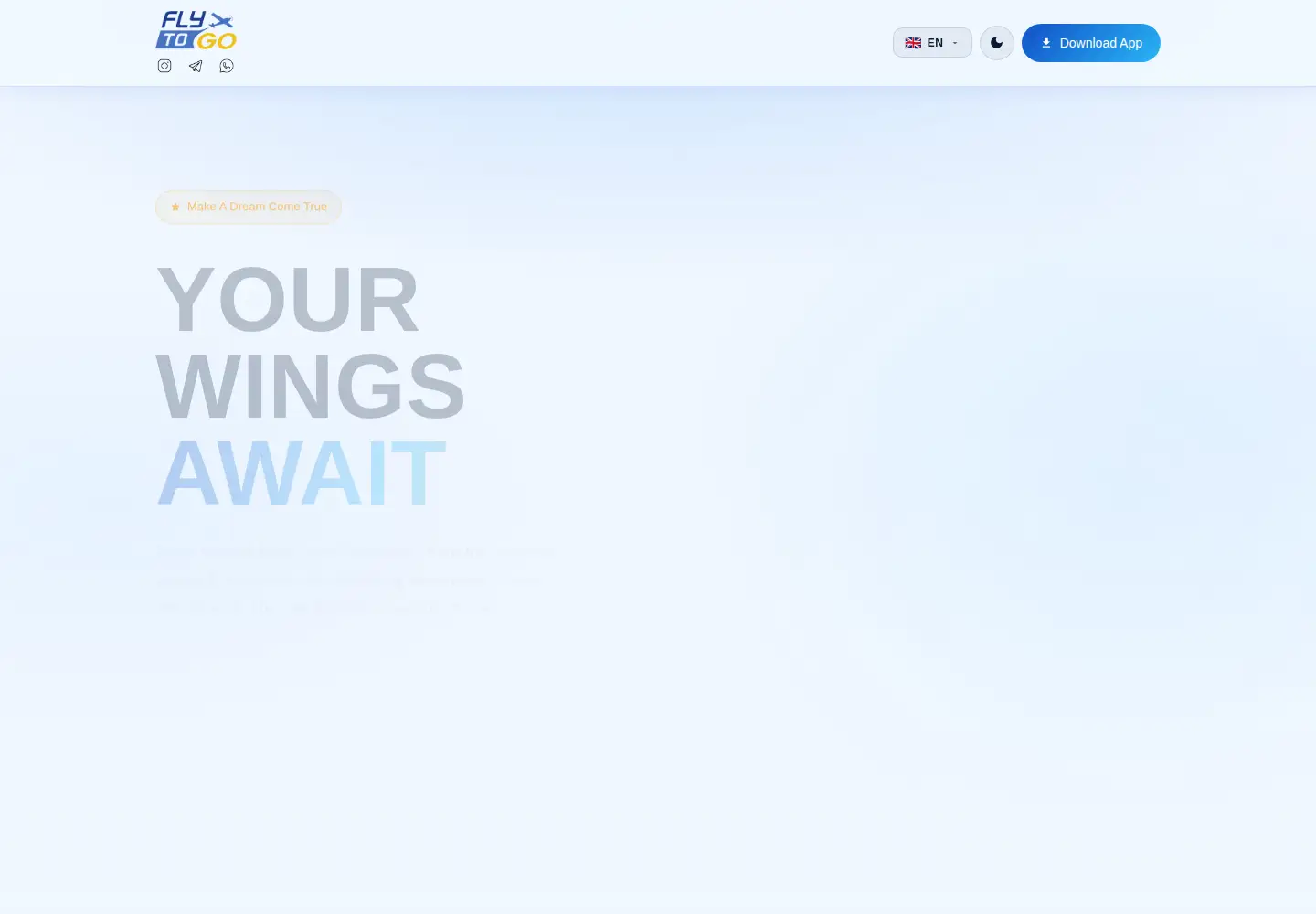 Captured homepage of flytogo.app in the current scan