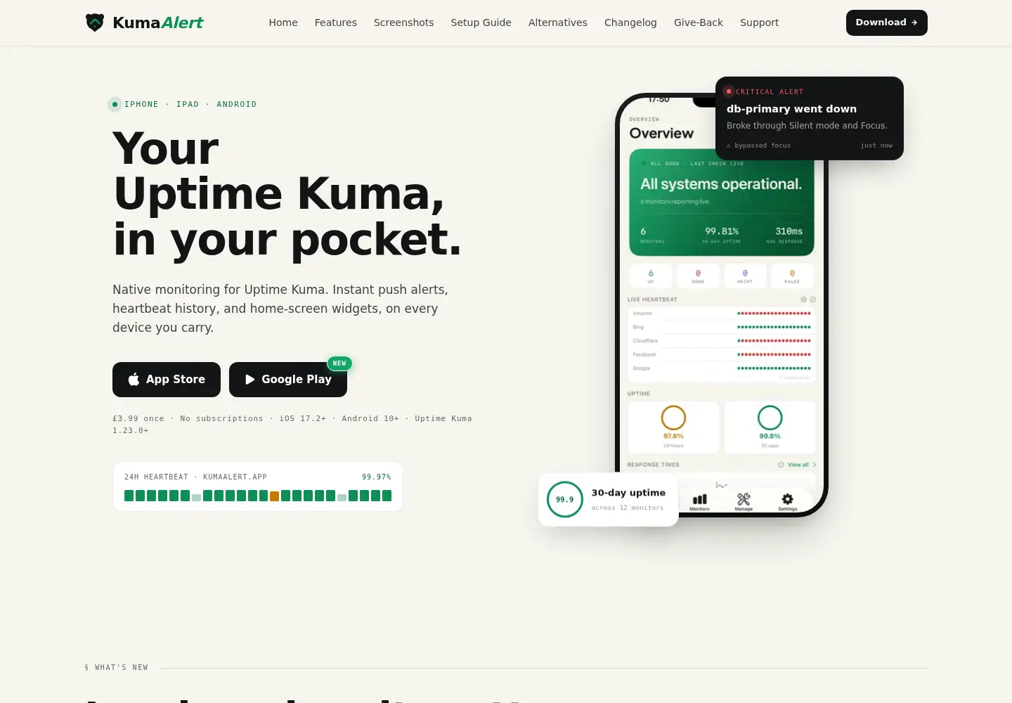 Captured homepage of kumaalert.app in the current scan