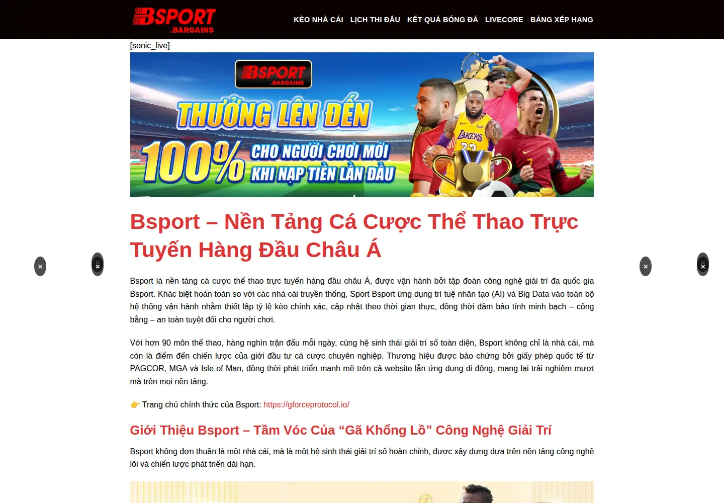Screenshot of bsport.bargains