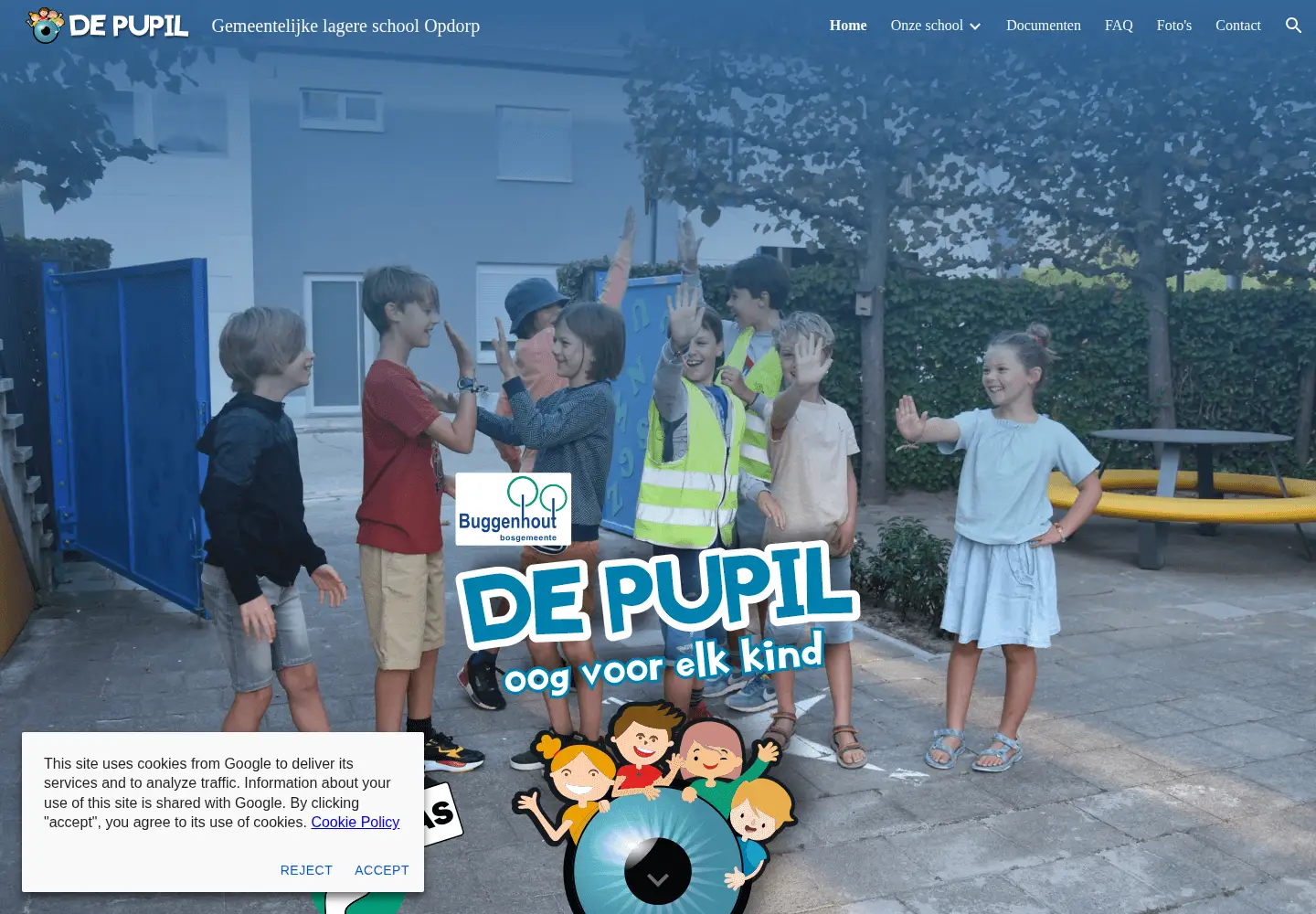 Captured homepage of depupil.be in the current scan