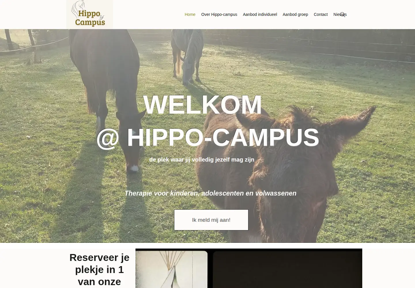 Screenshot of hippo-campus.be