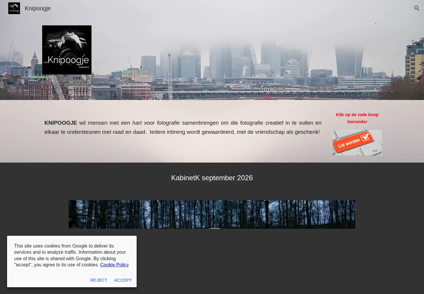 Screenshot of knipoogje.be