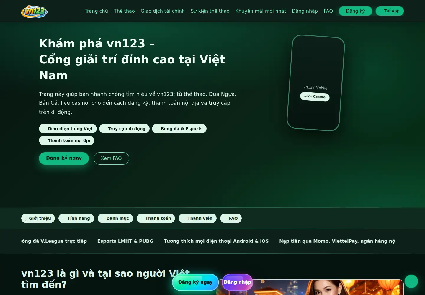 Captured homepage of vn123.bid in the current scan