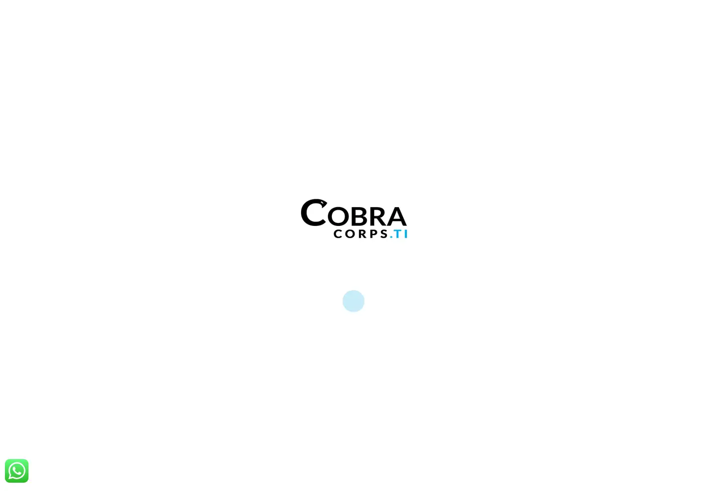 Captured homepage of cobracorps.com.br in the current scan