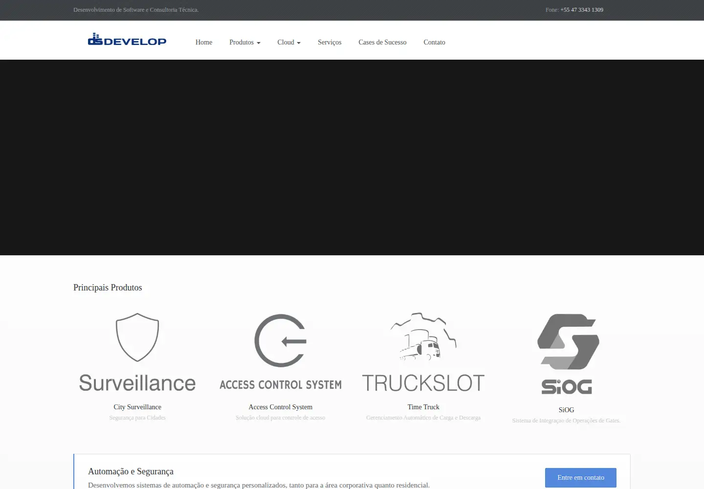 Screenshot of dsdevelop.com.br