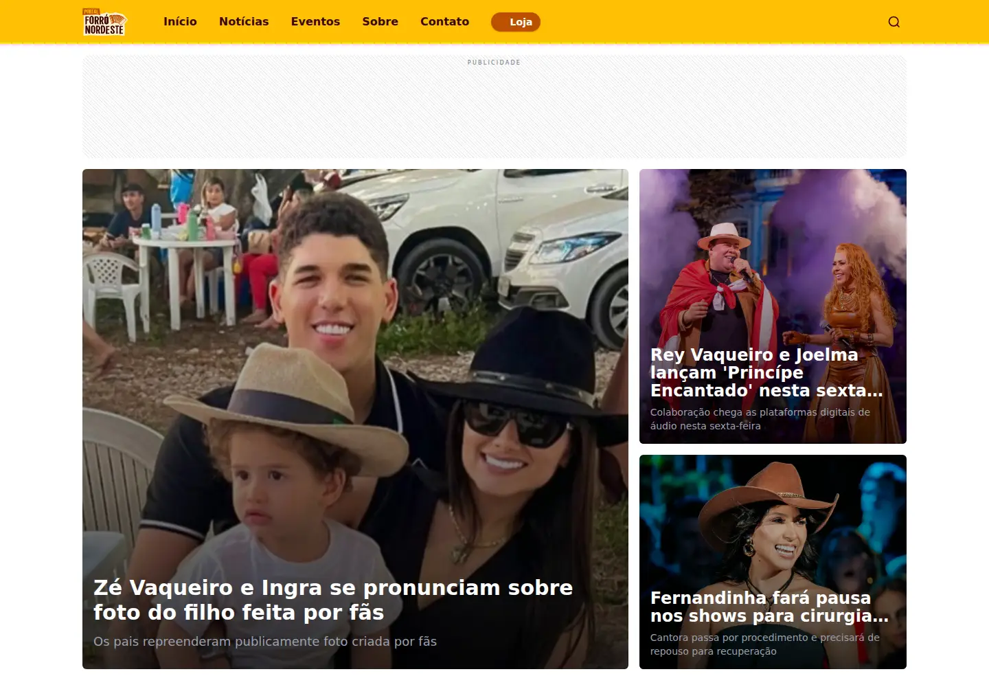 Captured homepage of forronordeste.com.br in the current scan