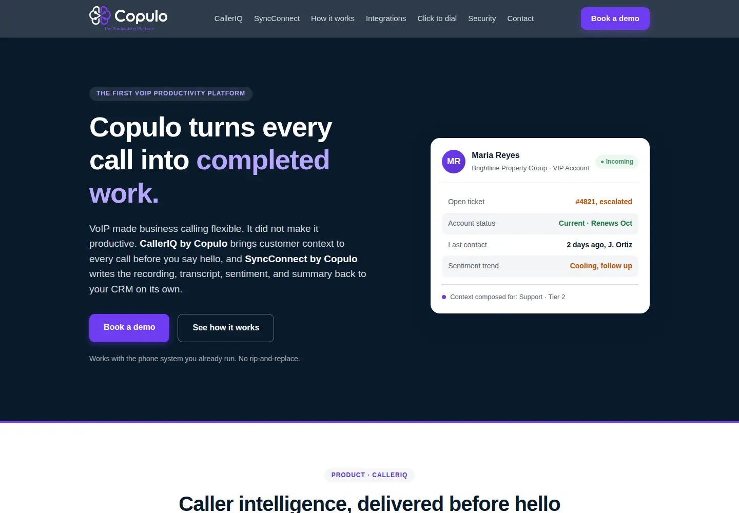 Captured homepage of copulo.com in the current scan