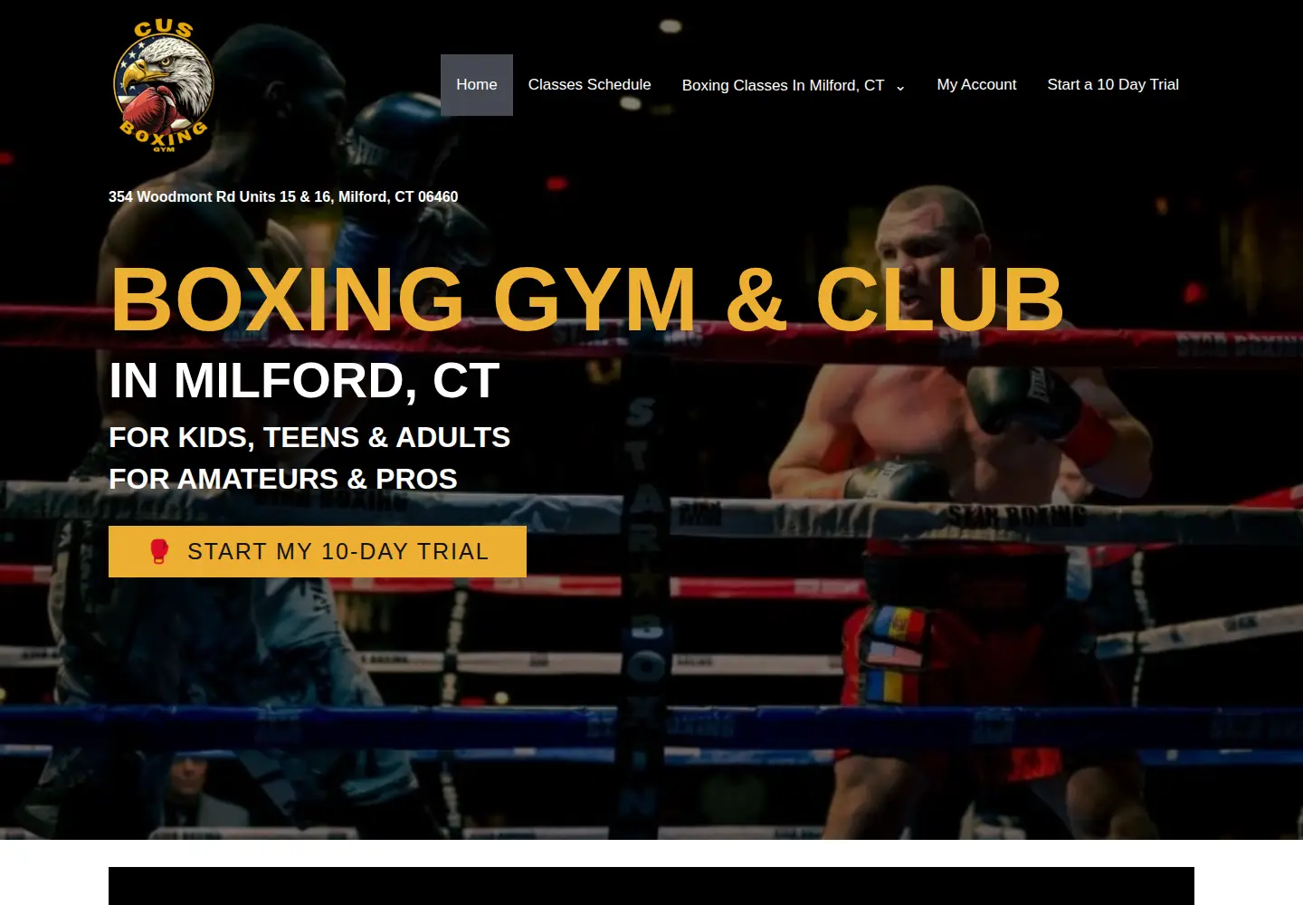 Captured homepage of cusboxing.com in the current scan