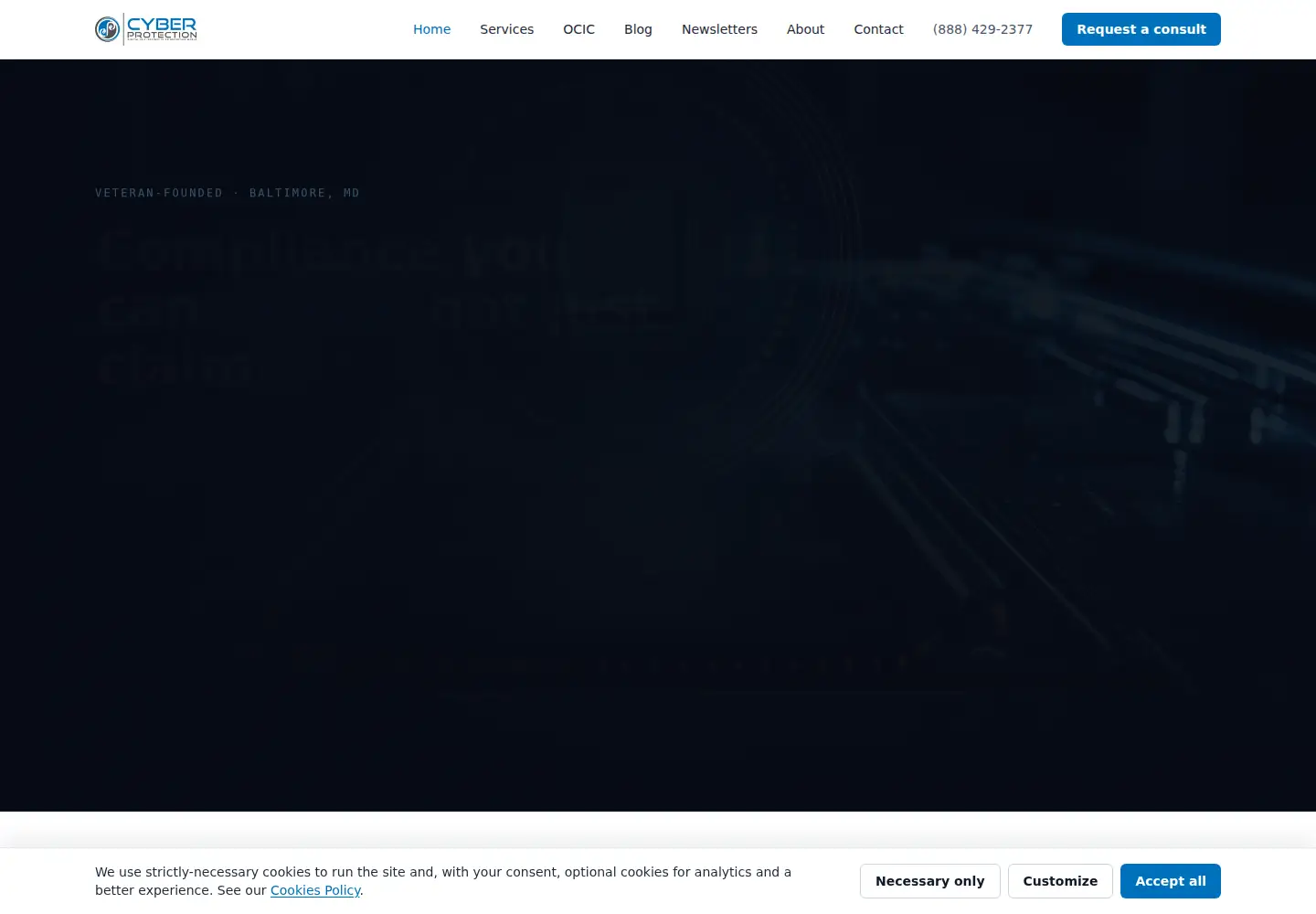 Captured homepage of cyberprotection.com in the current scan