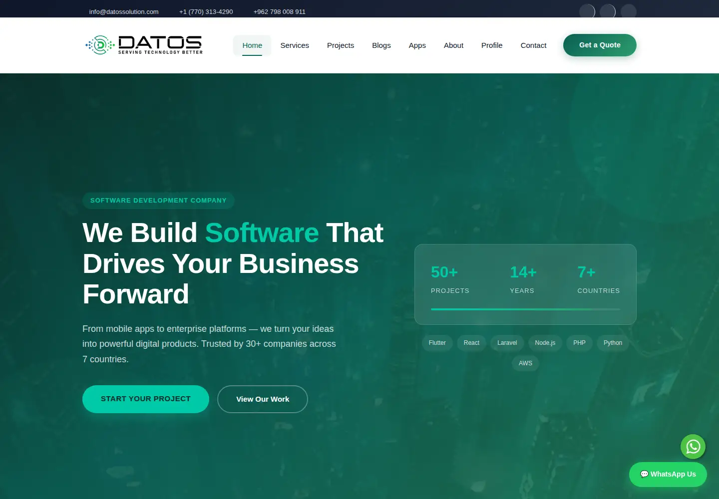 Captured homepage of datossolution.com in the current scan