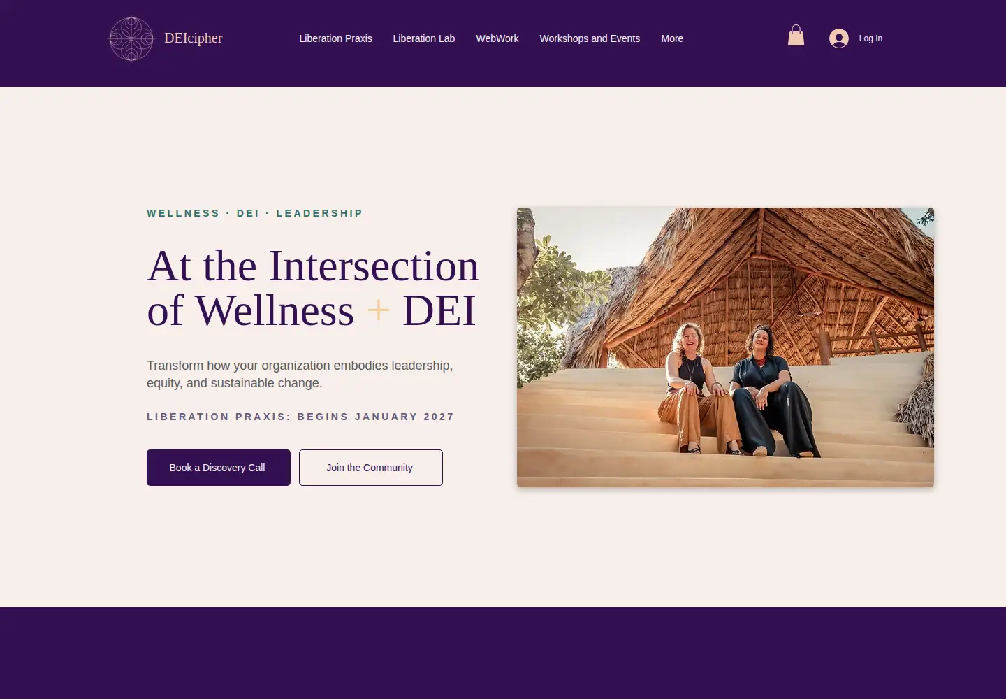 Screenshot of deicipher.com