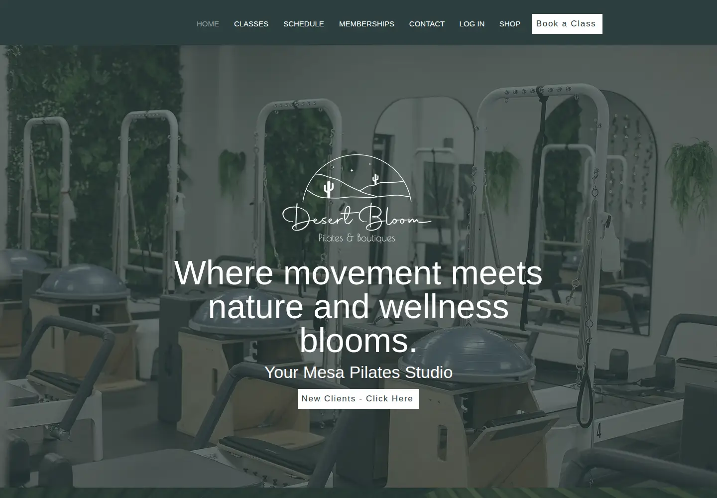 Screenshot of desertbloomarizona.com