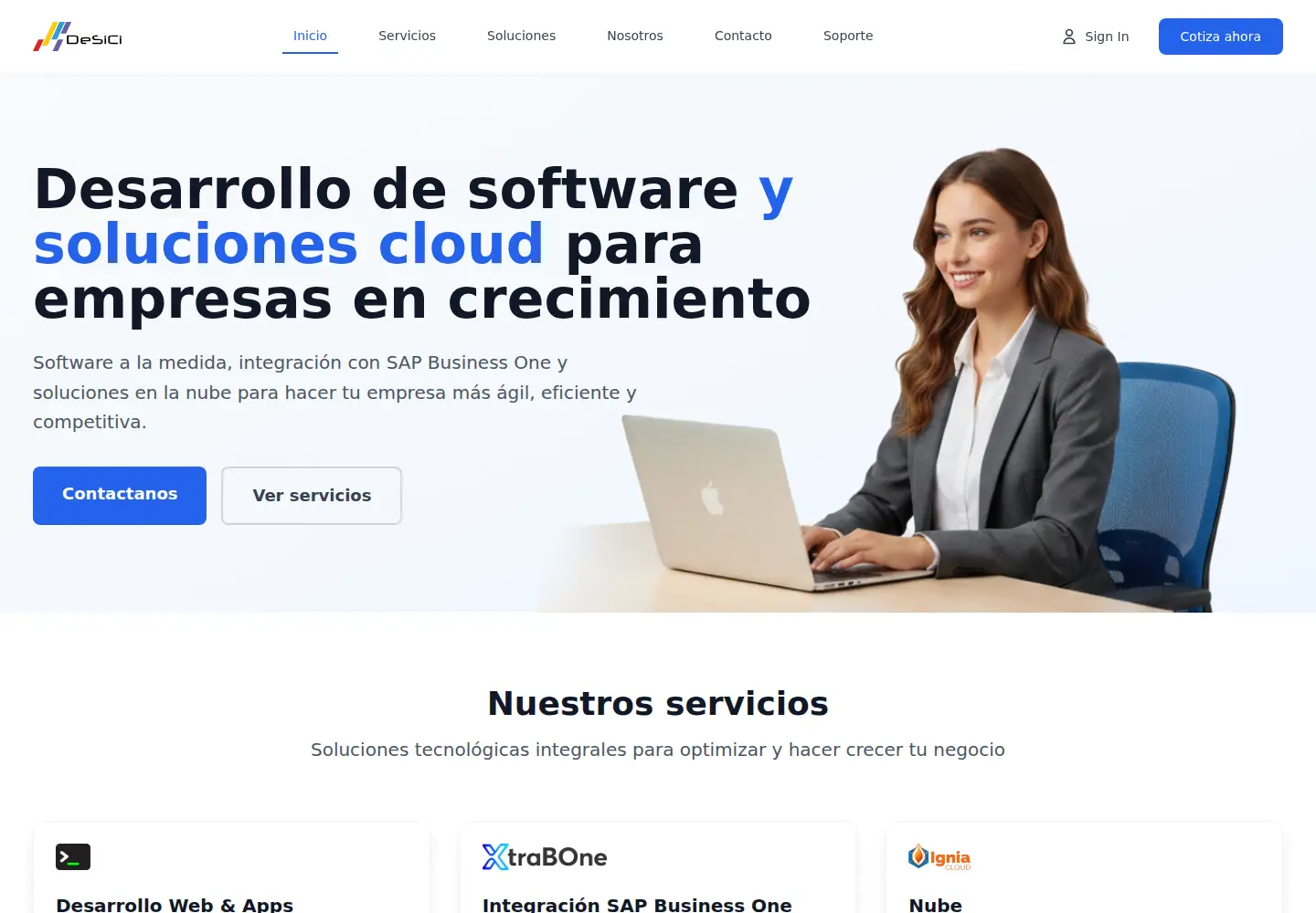 Captured homepage of desici.com in the current scan