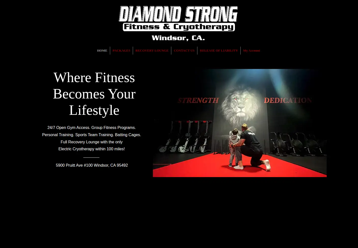Captured homepage of diamondstrongfitness.com in the current scan