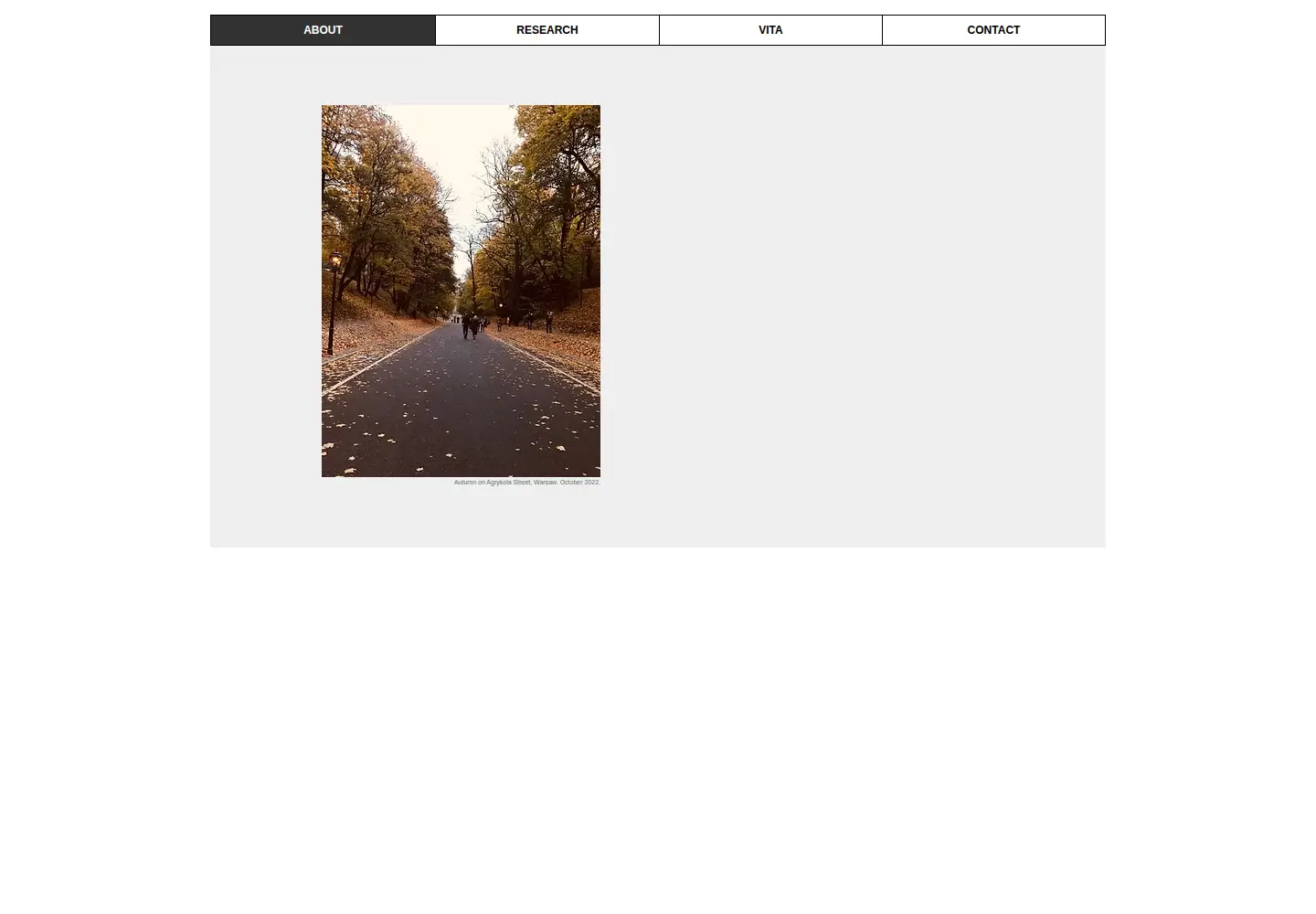 Captured homepage of diegofeinmann.com in the current scan
