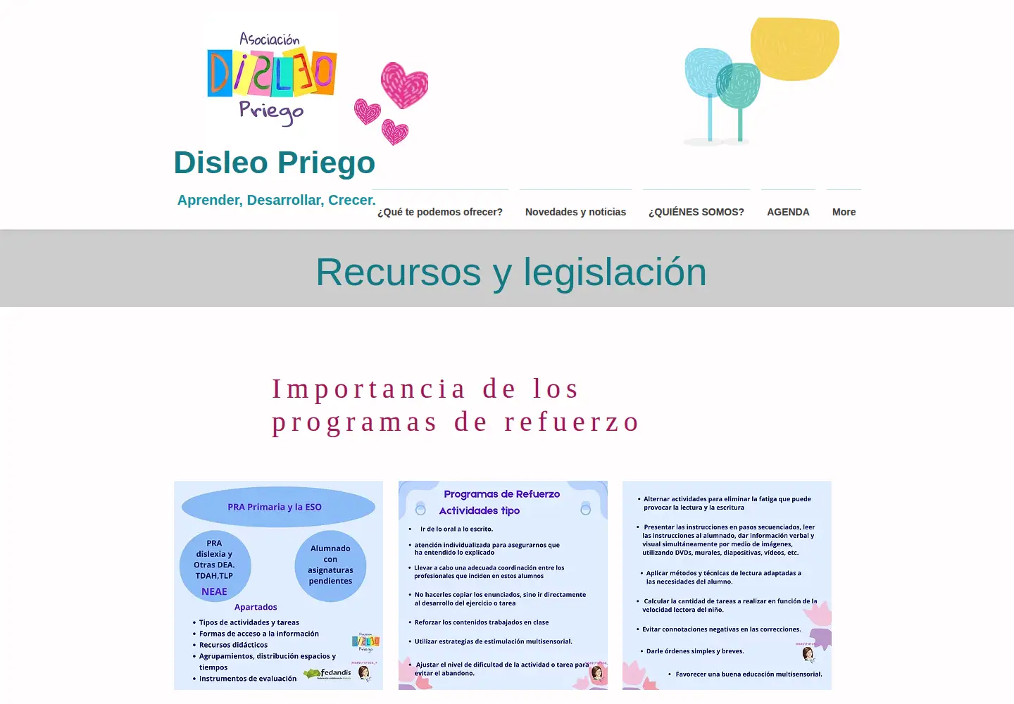 Screenshot of disleo.com