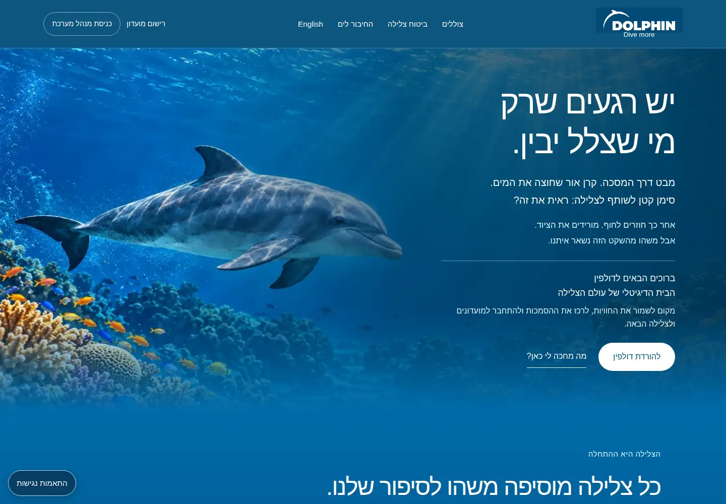 Screenshot of divedolphin.com