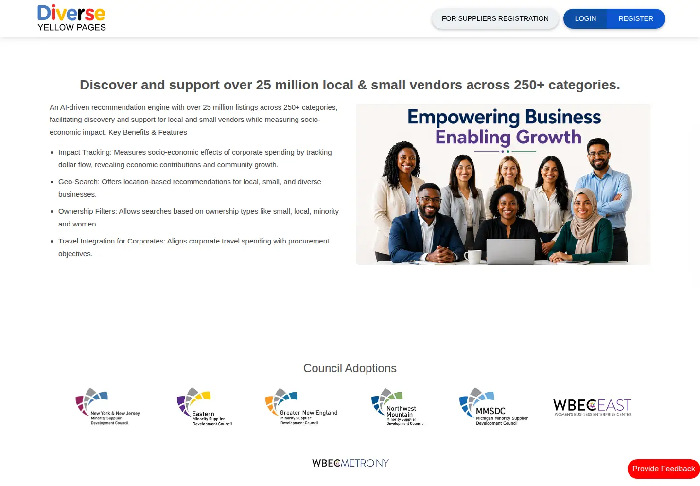 Captured homepage of diverseyp.com in the current scan