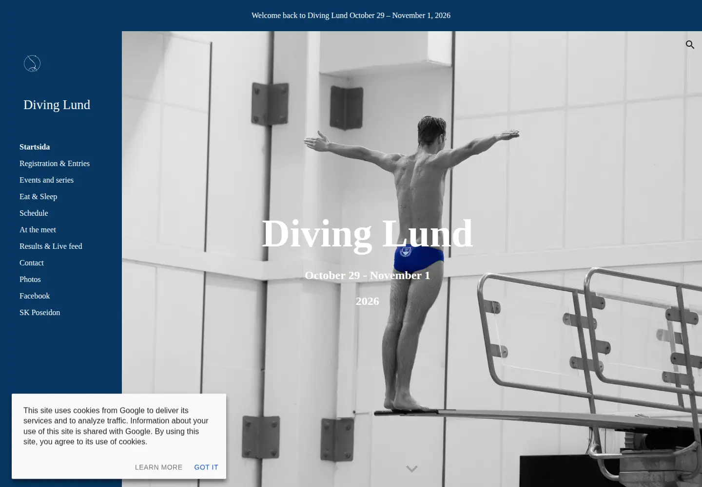 Captured homepage of divinglund.com in the current scan