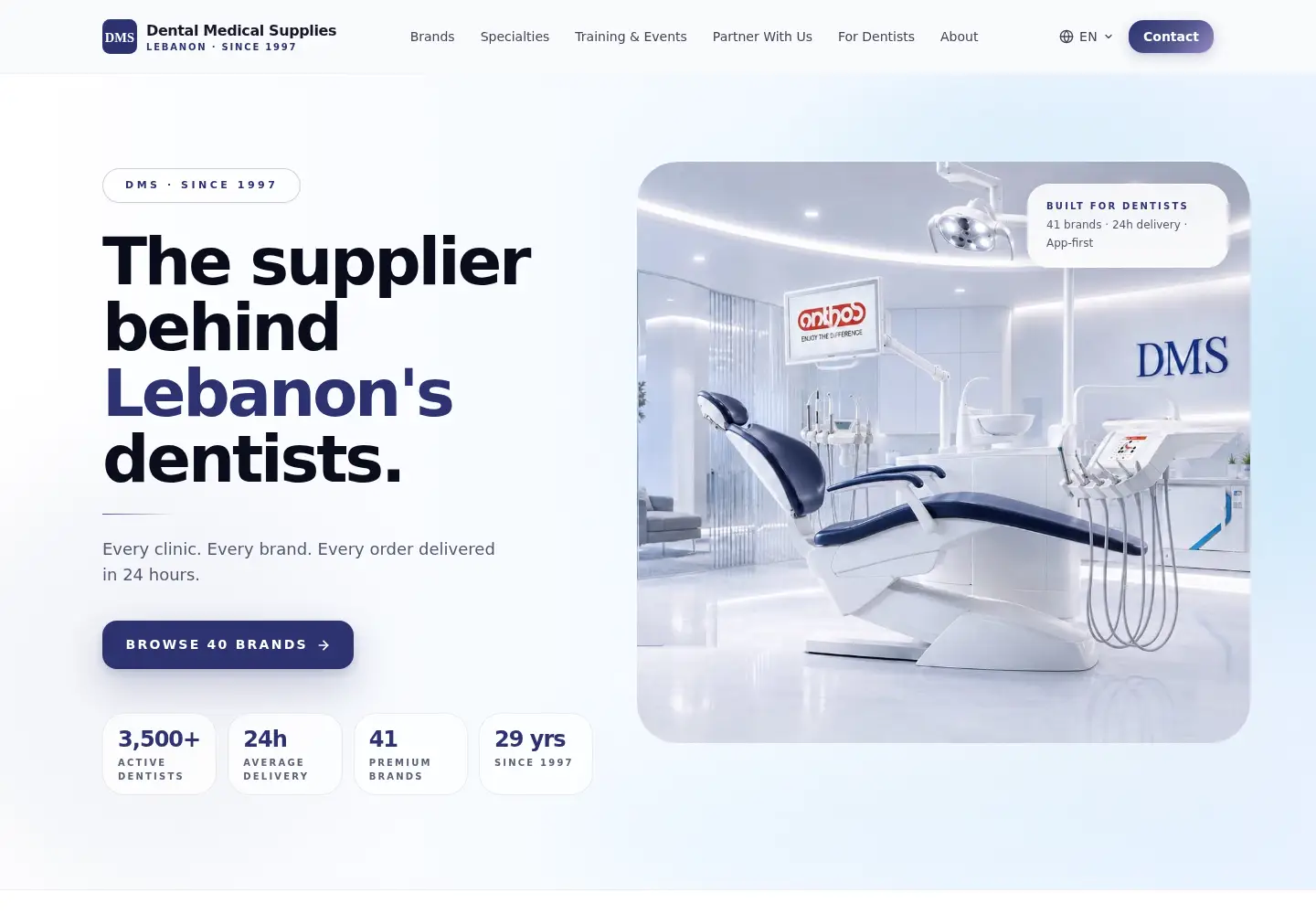 Screenshot of dms-leb.com