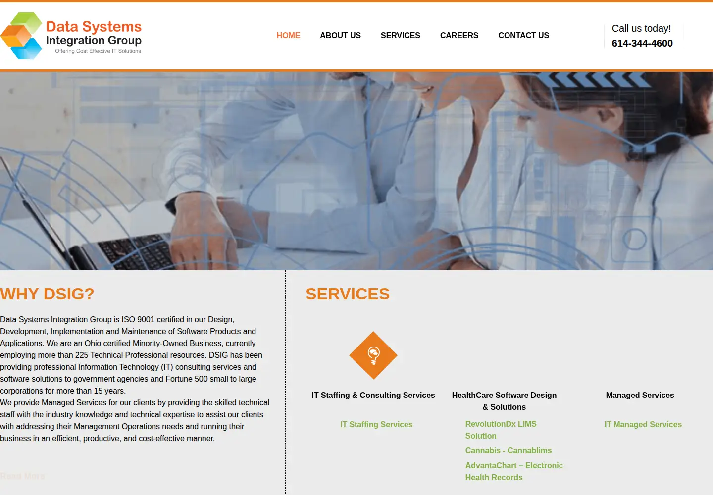 Screenshot of dsiginc.com