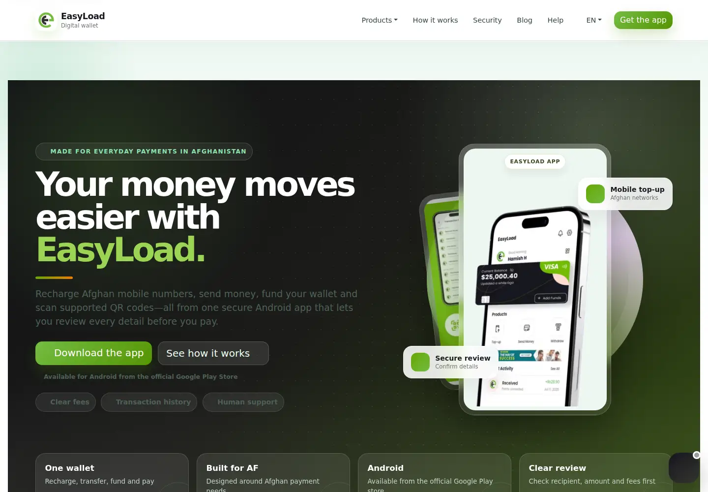 Captured homepage of easyloade.com in the current scan