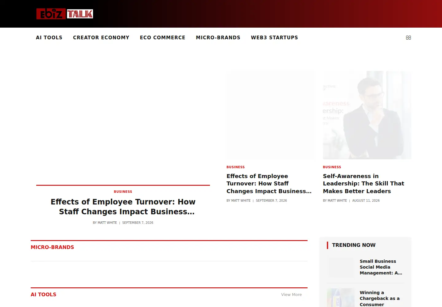 Captured homepage of ebiztalk.com in the current scan