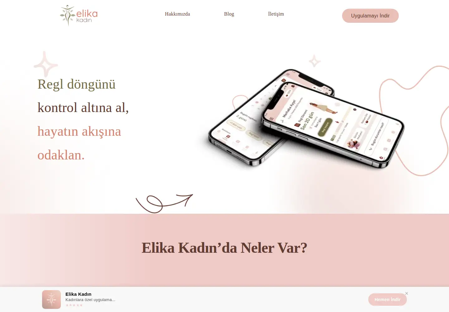 Captured homepage of elikakadin.com in the current scan