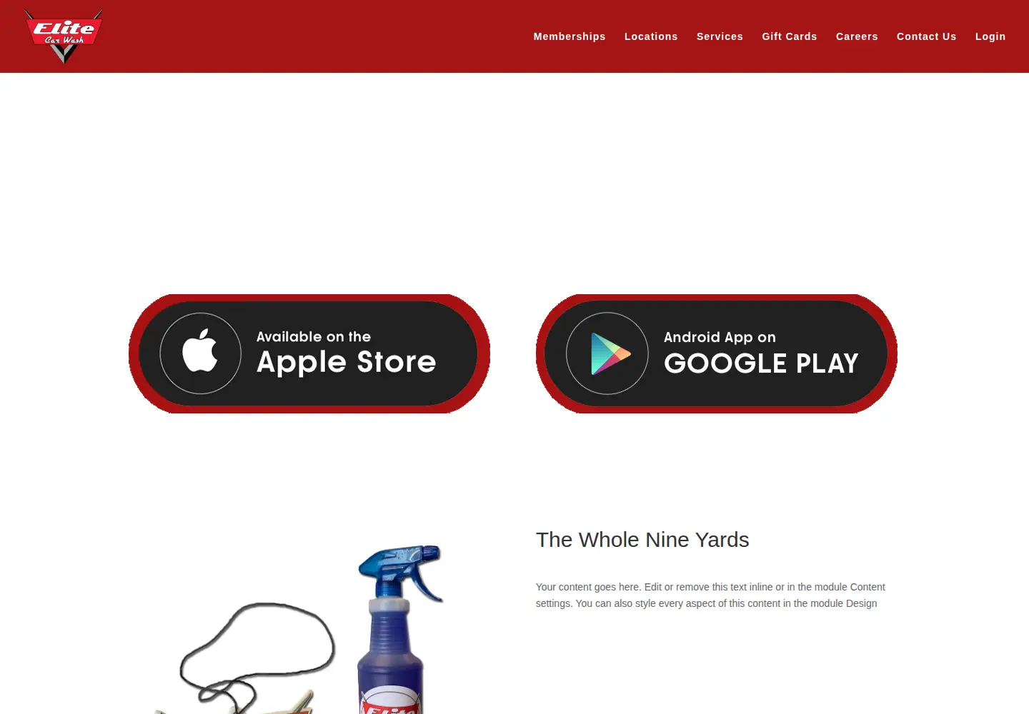 Captured homepage of elitecarwash.com in the current scan