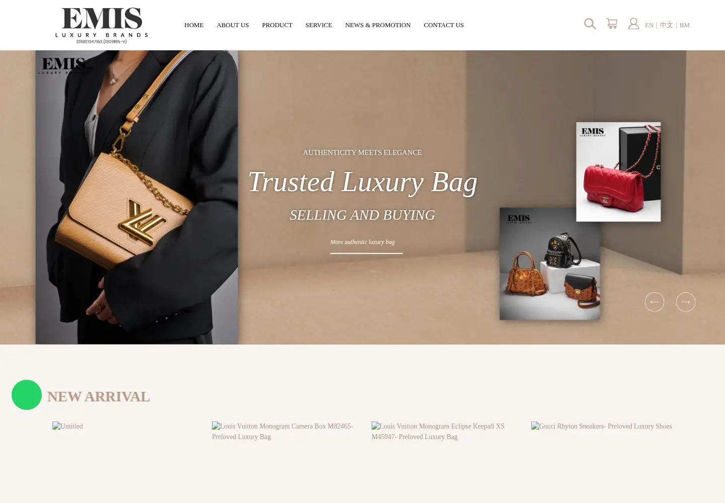 Captured homepage of emisluxury.com in the current scan