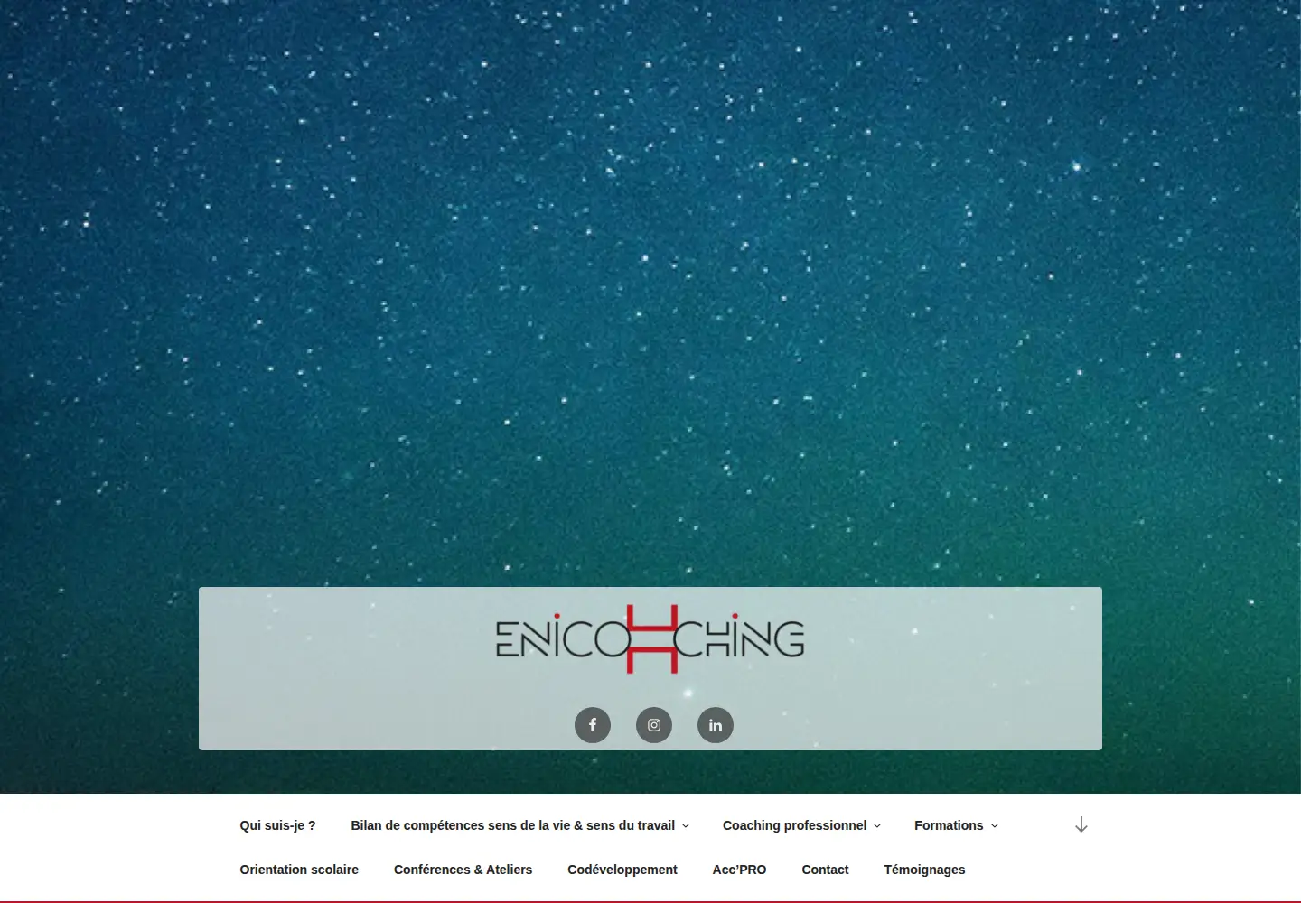 Screenshot of enicohching.com