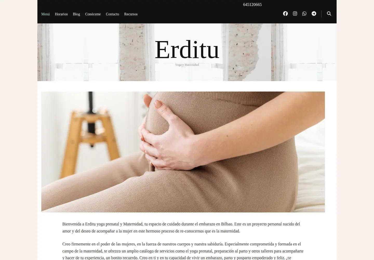 Screenshot of erditu.com