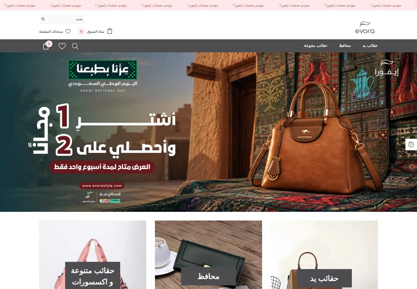 Captured homepage of evorastyle.com in the current scan