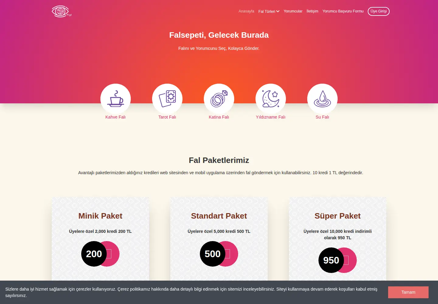 Screenshot of falsepeti.com