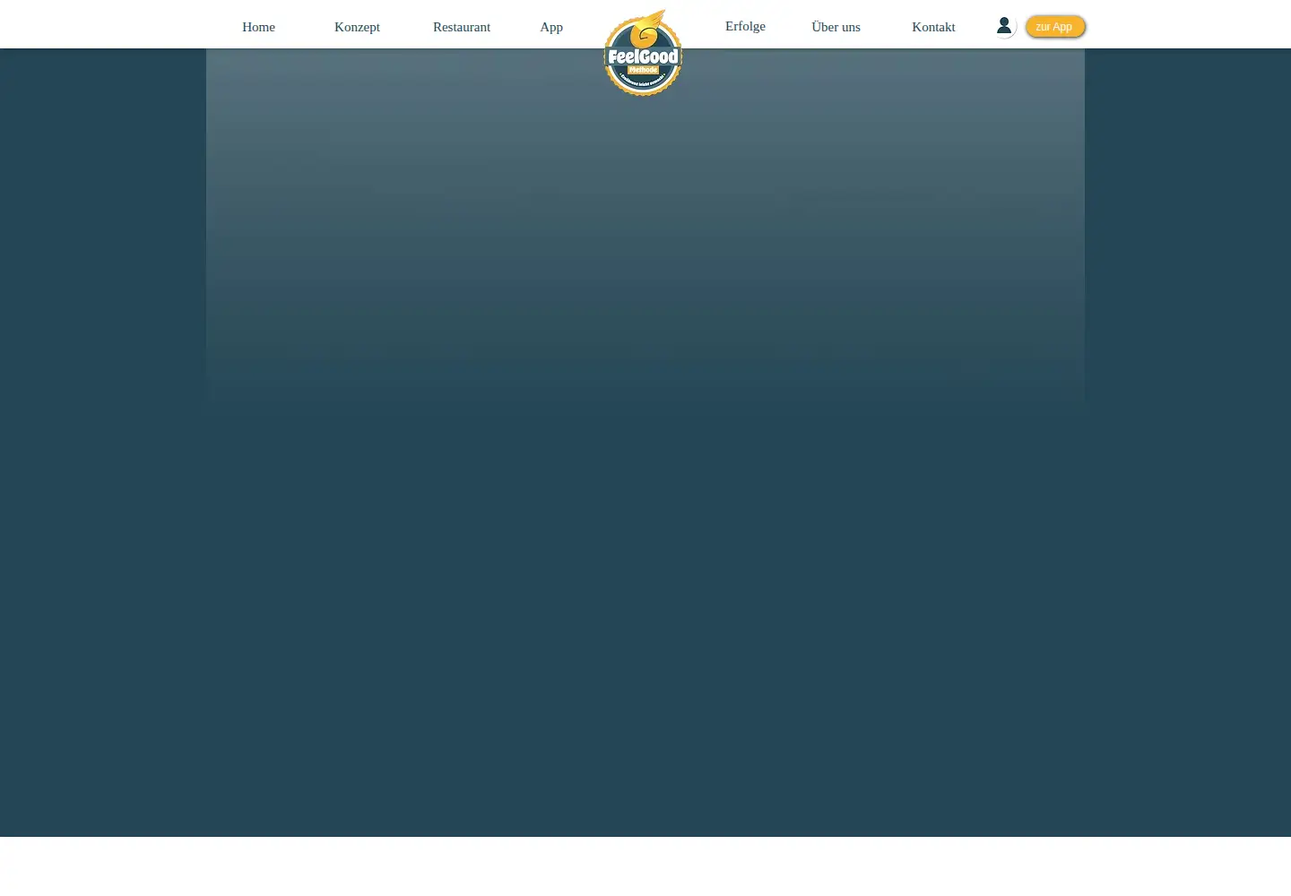 Screenshot of feelgood-methode.com